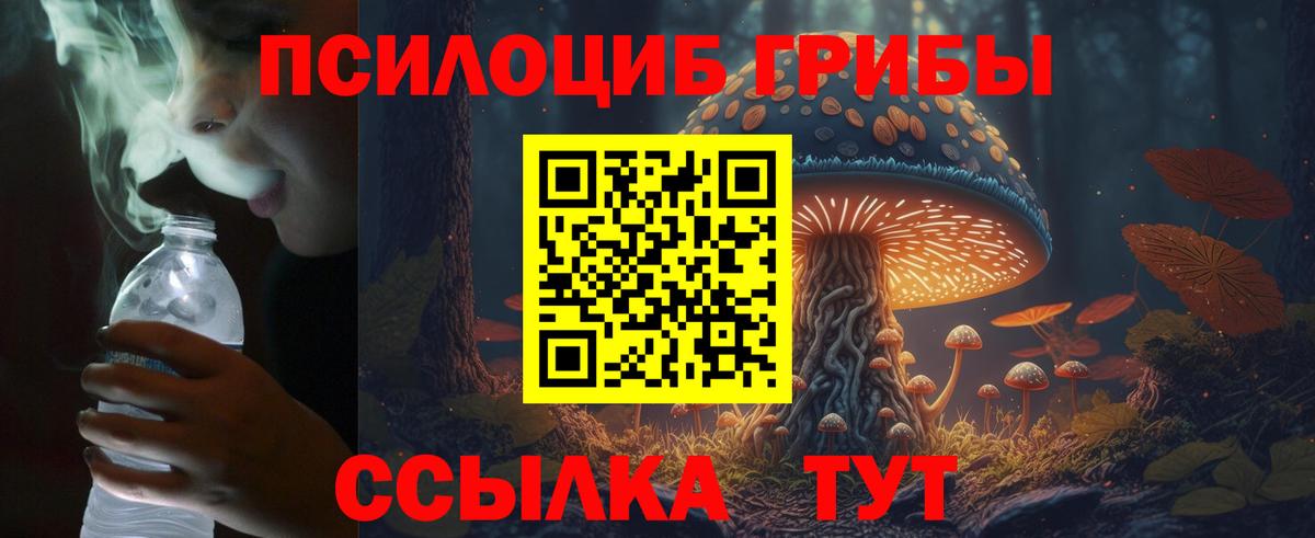 Галлюциногенные грибы Psilocybe  Вход с VPN  Сухой Лог 